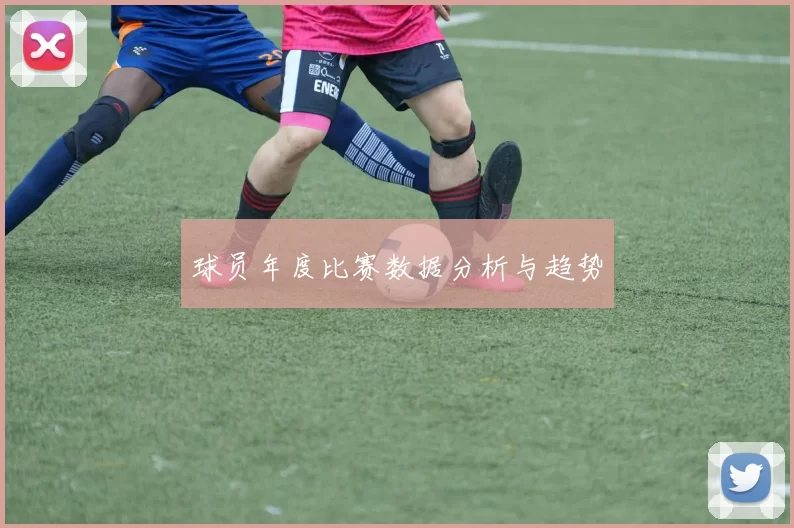 球员年度比赛数据分析与趋势