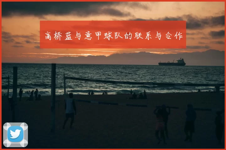 高桥蓝与意甲球队的联系与合作