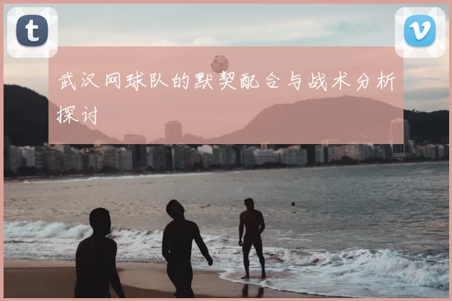 武汉网球队的默契配合与战术分析探讨