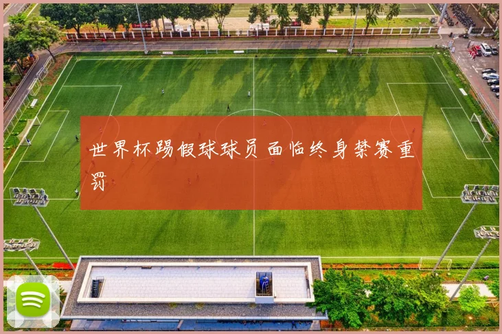 世界杯踢假球球员面临终身禁赛重罚