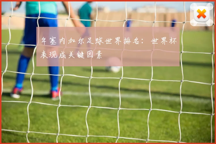 年塞内加尔足球世界排名:世界杯表现成关键因素